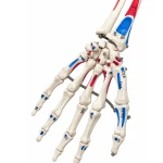 product-additional-image