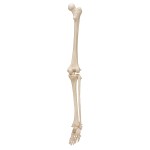 product-additional-image