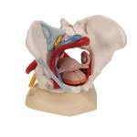 product-additional-image