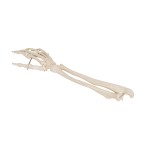 product-additional-image