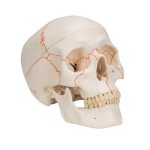 product-additional-image