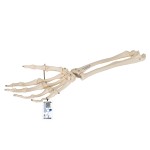 product-additional-image