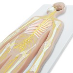 product-additional-image