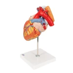 product-additional-image