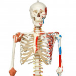 product-additional-image