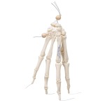 product-additional-image