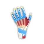 product-additional-image