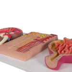 product-additional-image
