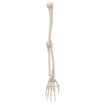product-additional-image
