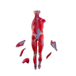 product-additional-image