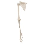 product-additional-image