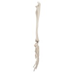 product-additional-image
