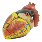 product-additional-image