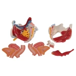 product-additional-image