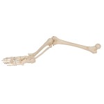 product-additional-image