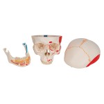 product-additional-image